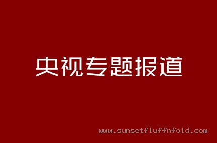 央视专题报道