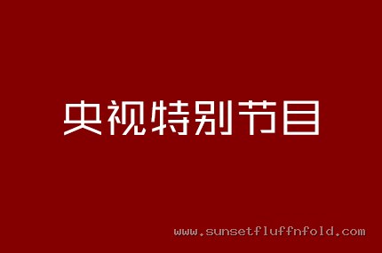 央视特别节目