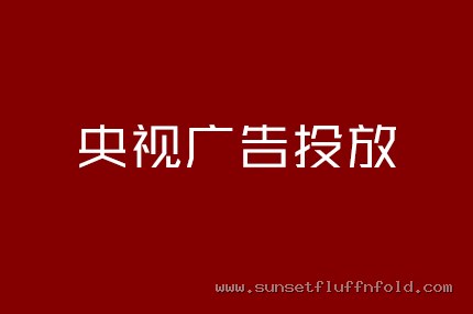 央视广告投放